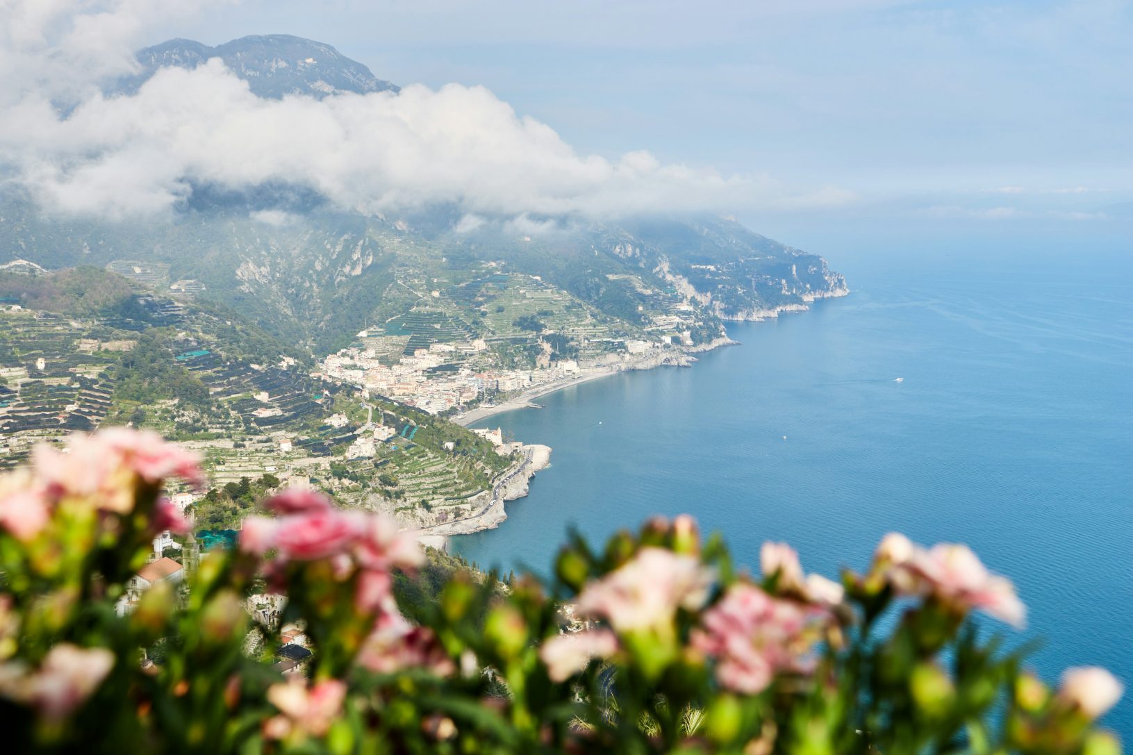 Scenic coastal view with mountains, sea, and pink flowers in the foreground.